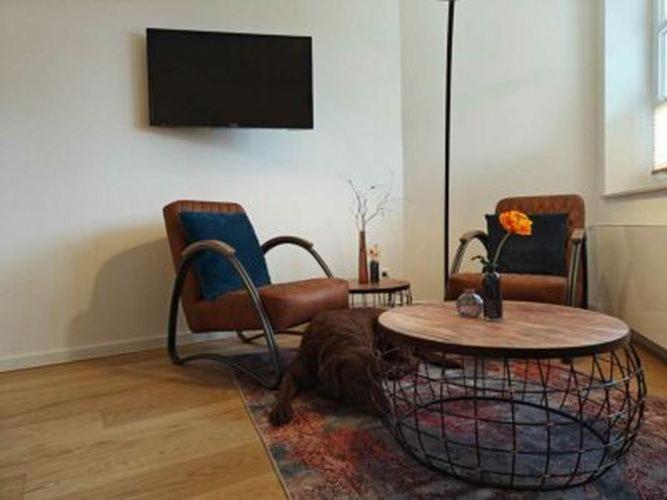 Artroom Boarding Apartment Bissendorf Exteriör bild
