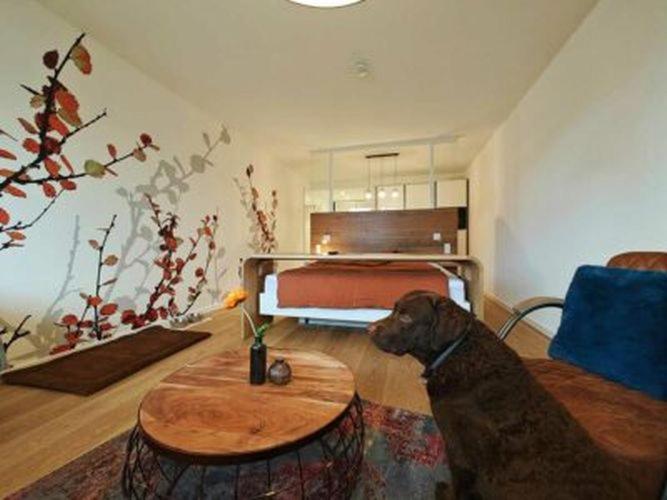 Artroom Boarding Apartment Bissendorf Exteriör bild